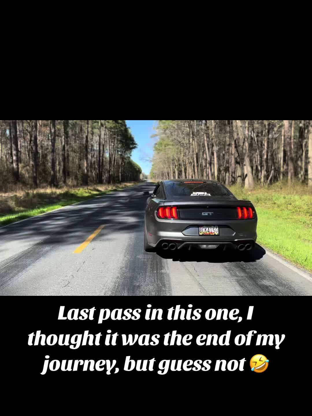 @fear_toothless