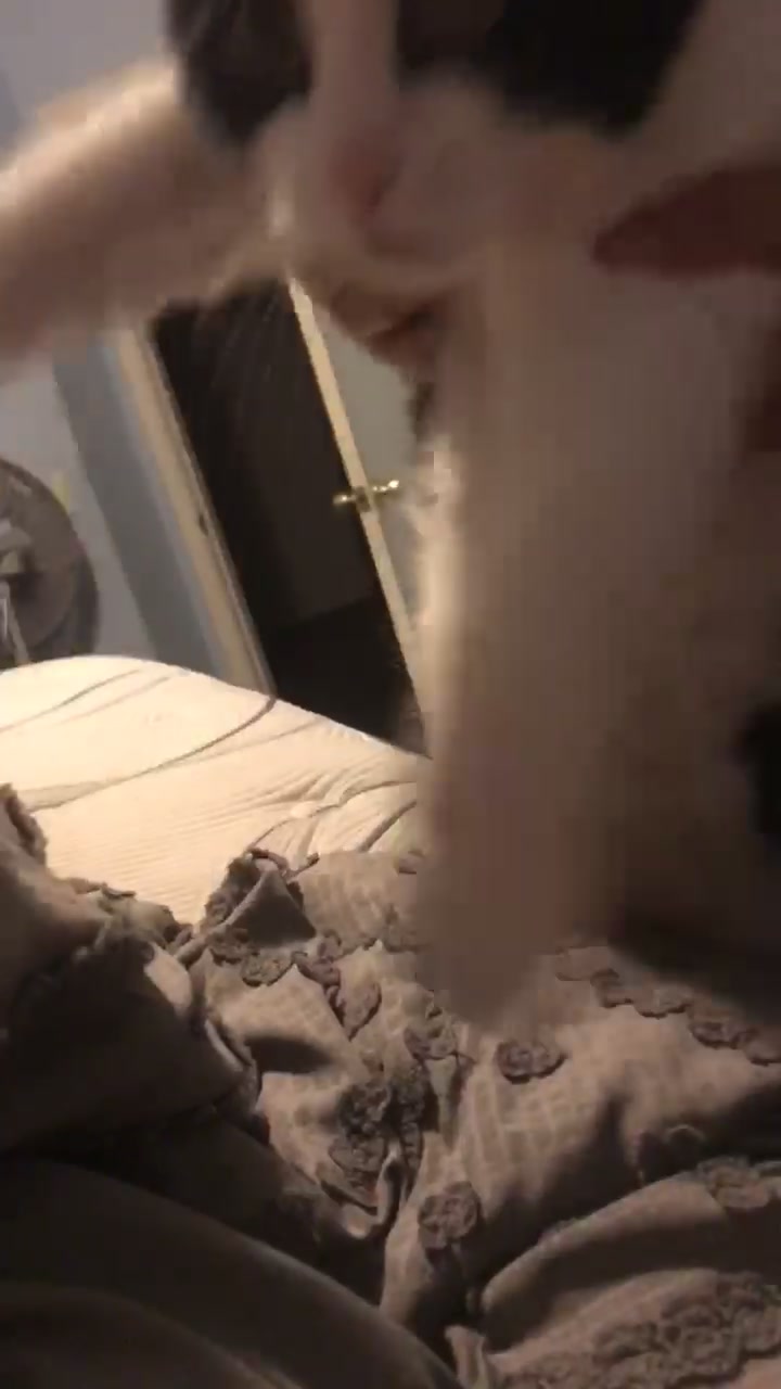 @CharlieTheVelociraptor :D
