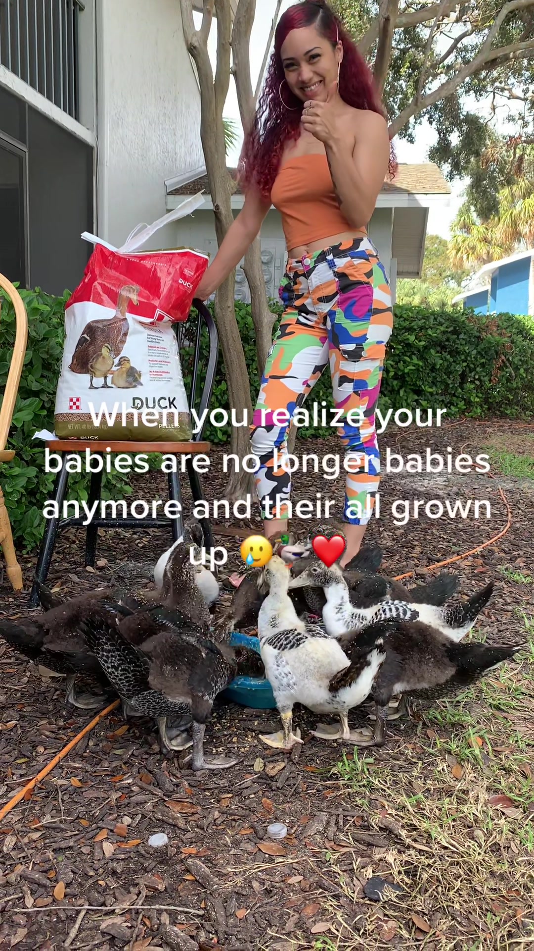 @Marilyn Felizola