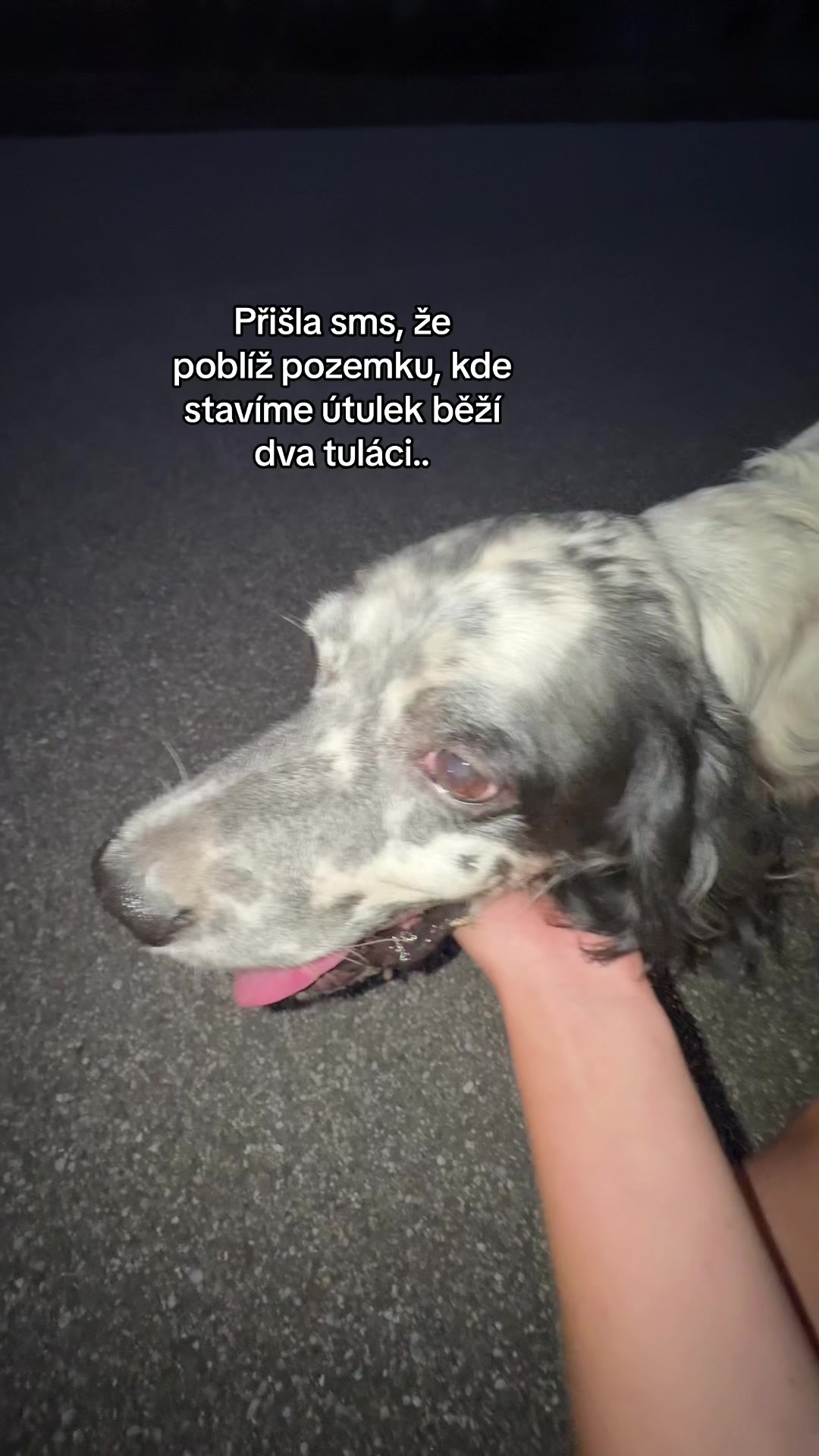 @Zlomatka v It&aacute;lii🇮🇹