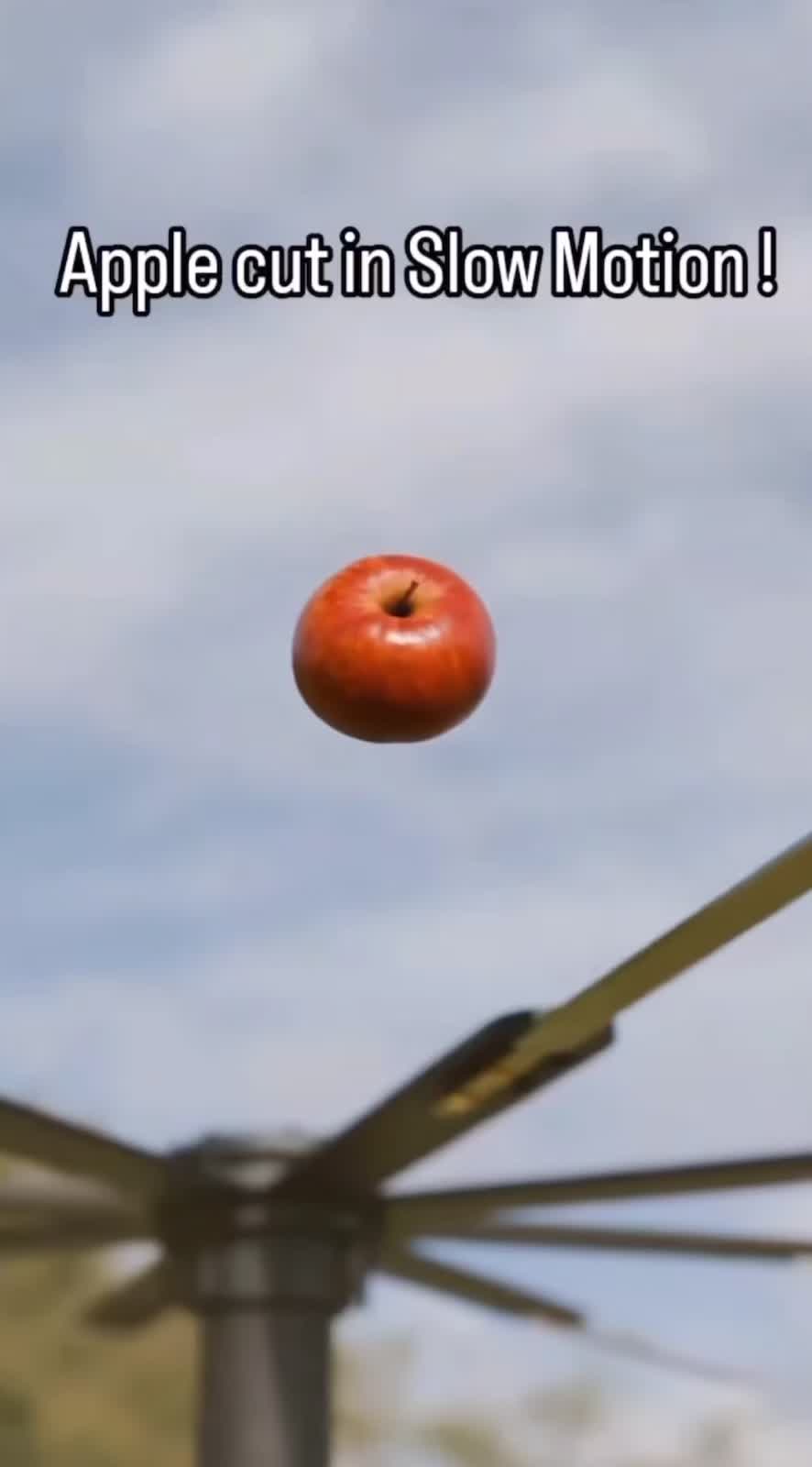 @Random_Funnyshit