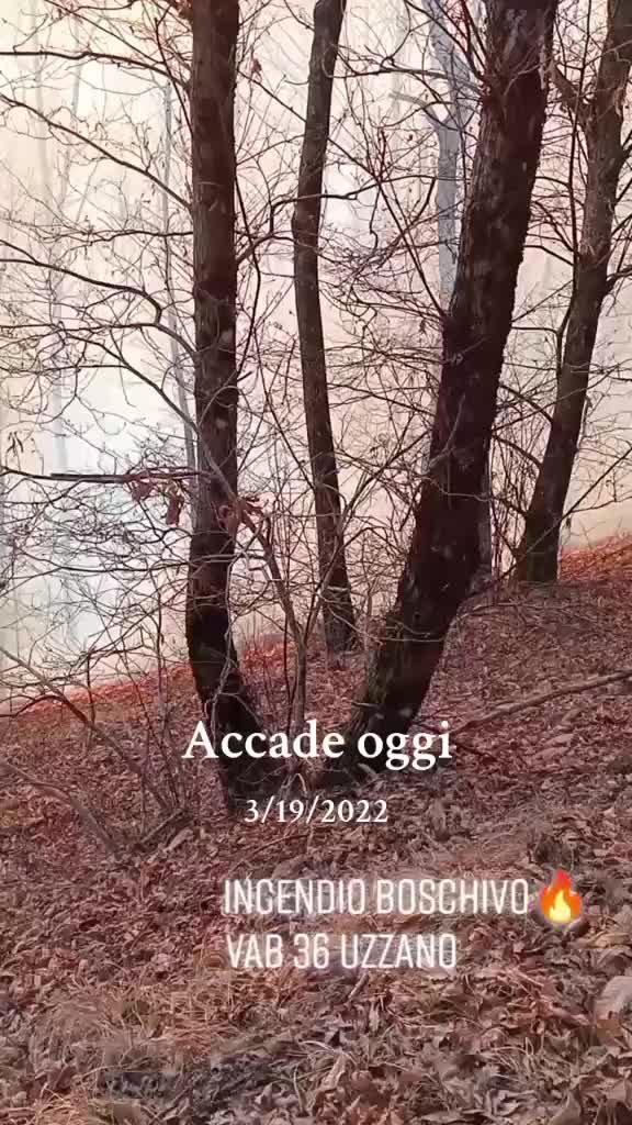 @Luca Nuget