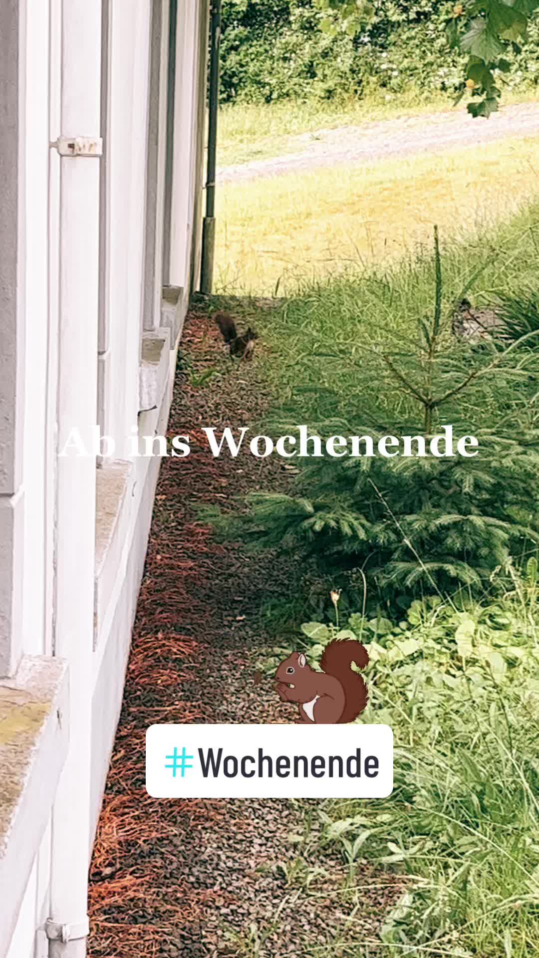 @Pfld. Pflegeleicht NRW GmbH