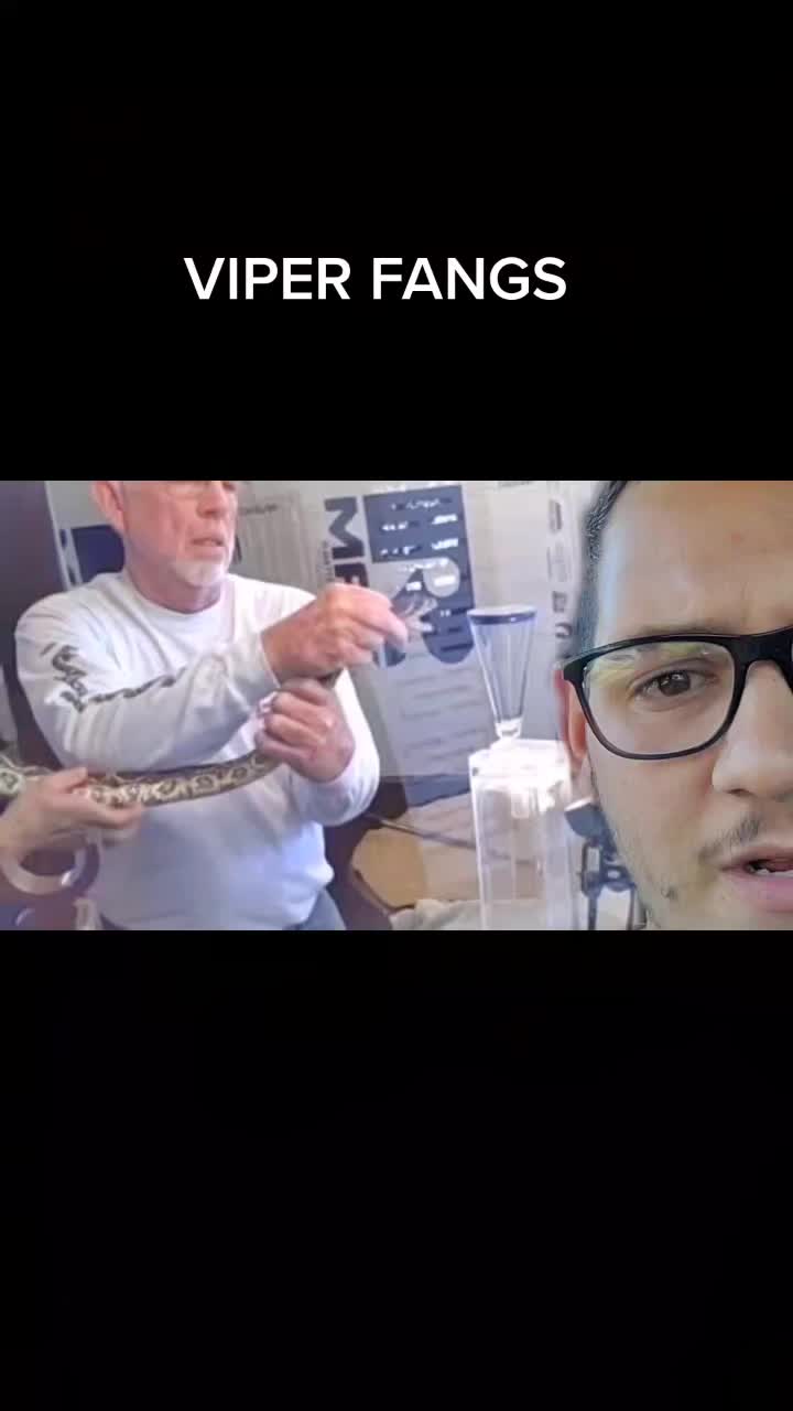 @Dna Reptiles
