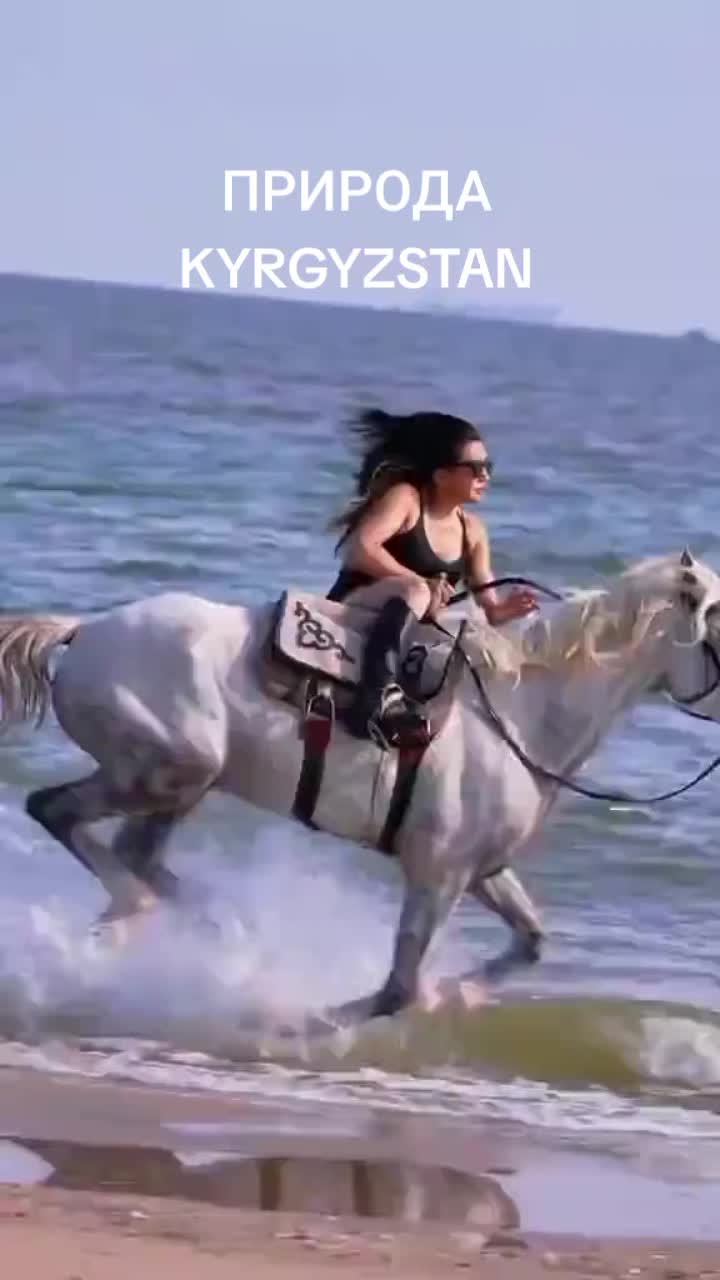 @aidarali_63
