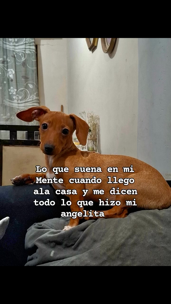 @Lupita🩷✨️