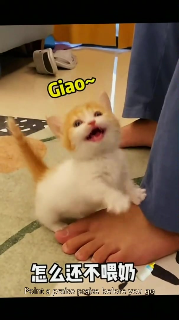 @dfhdhhd22