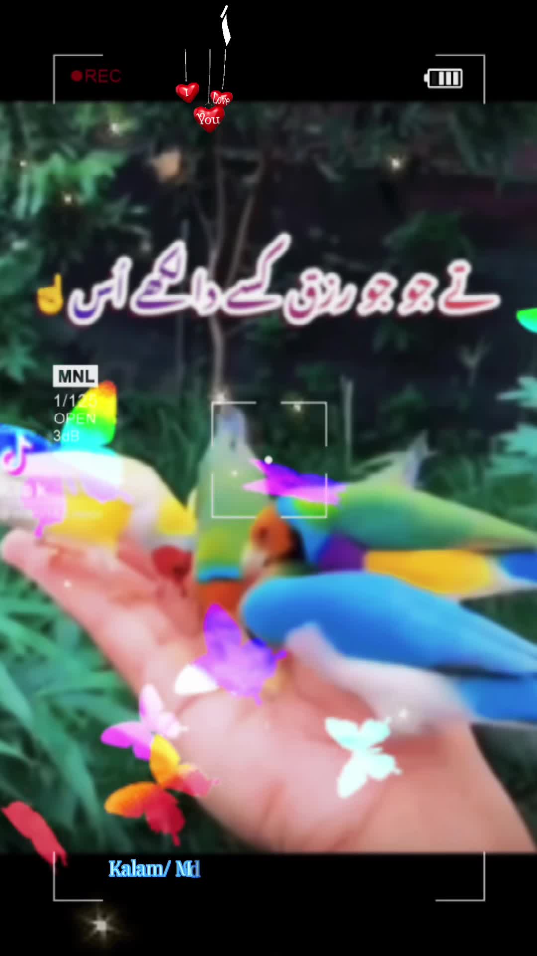 @🌹 ماہNoor&hearts;️