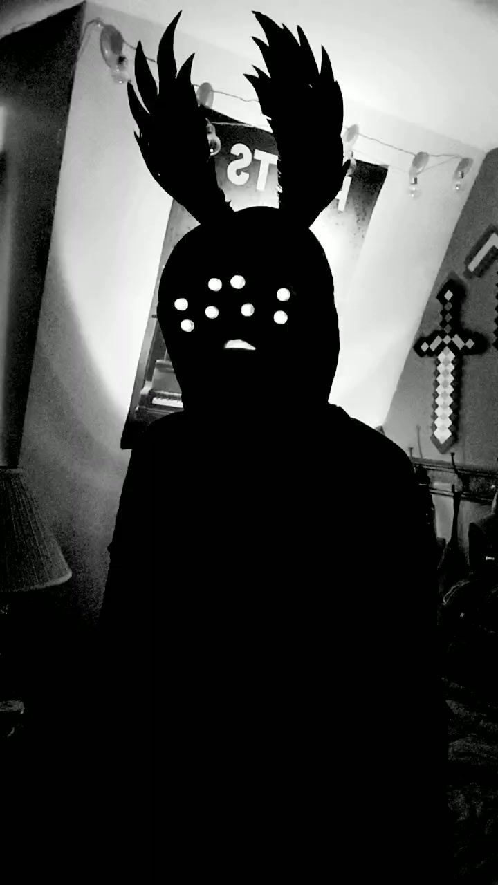 @Felis Tenebris