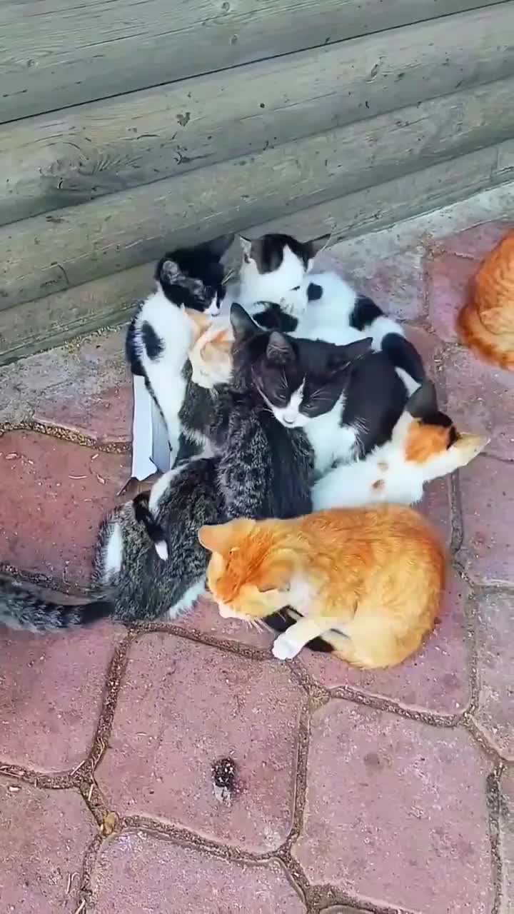@user11009811448656