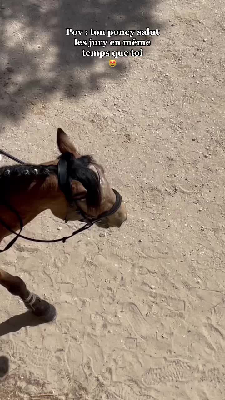 @Le poney qui salut les jurys✨