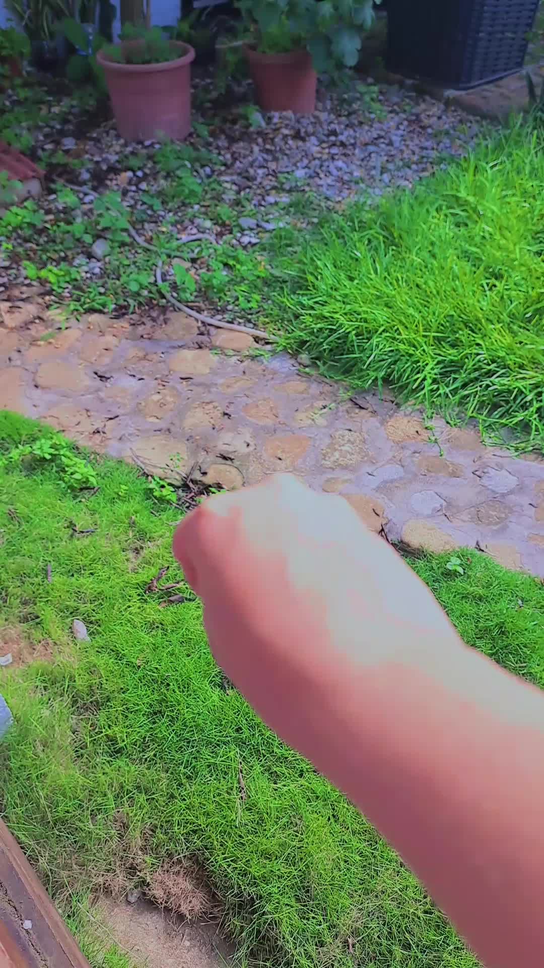@tubchick