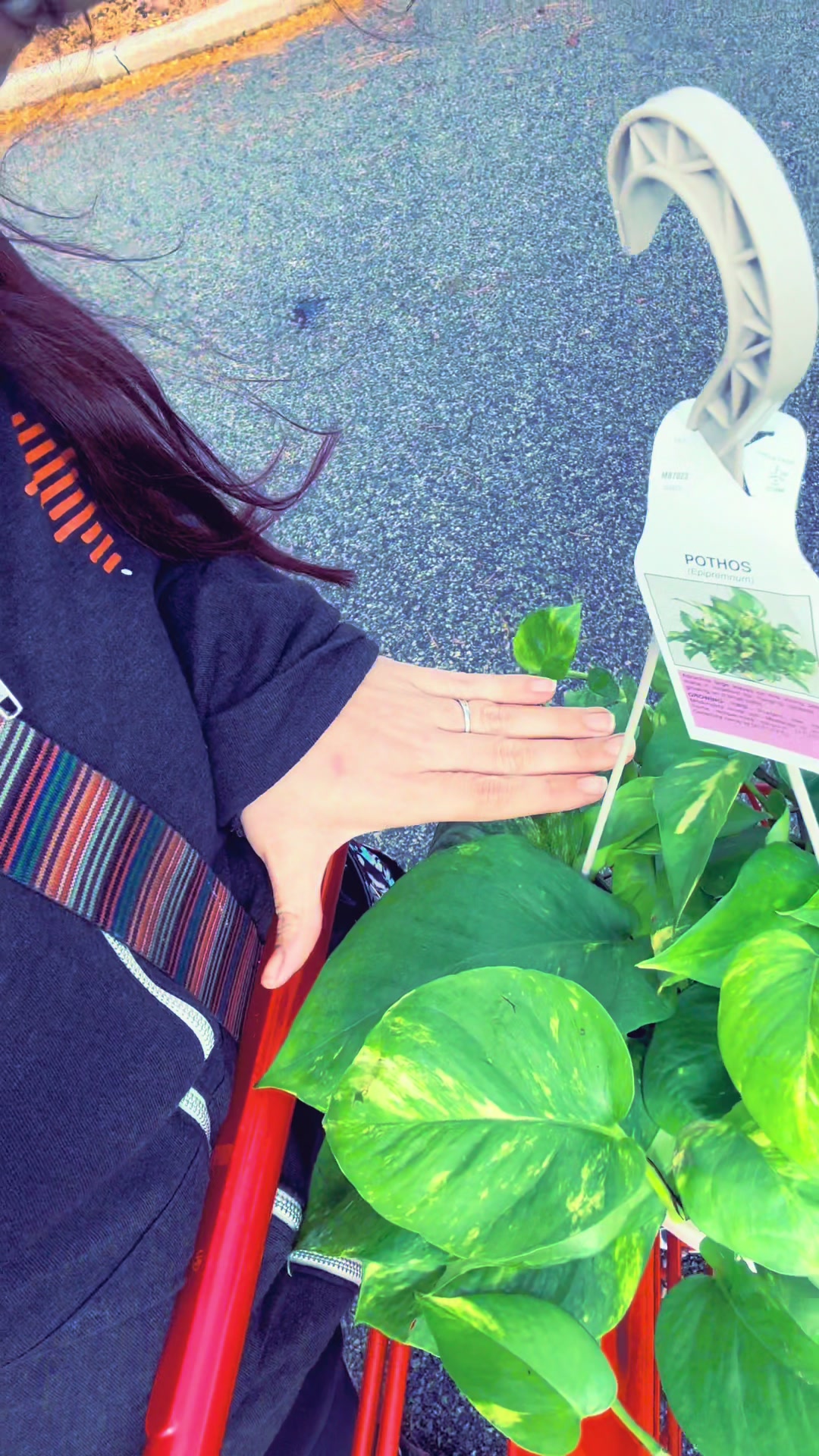 @Art-Plant-Upcycle