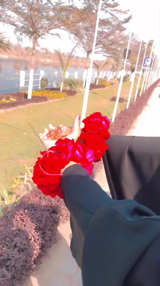 @WARDA SHOAIB