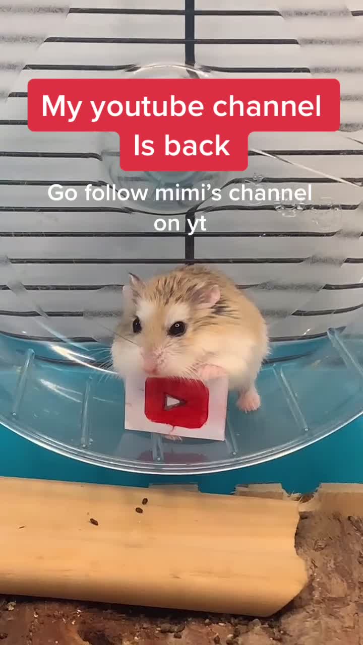 @Follow for a follow