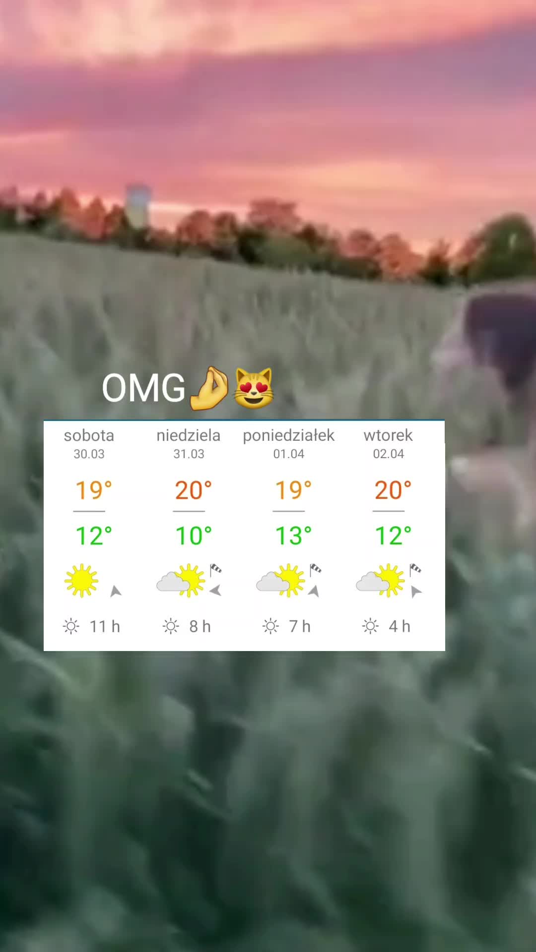 @𝐒𝐮𝐦𝐦𝐞𝐫🗺🌱🌴