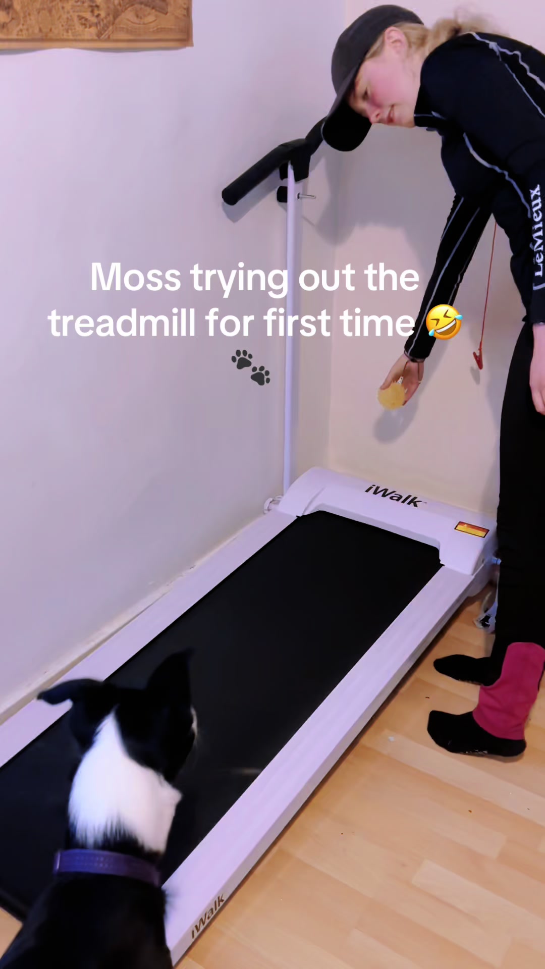 @MagsK
