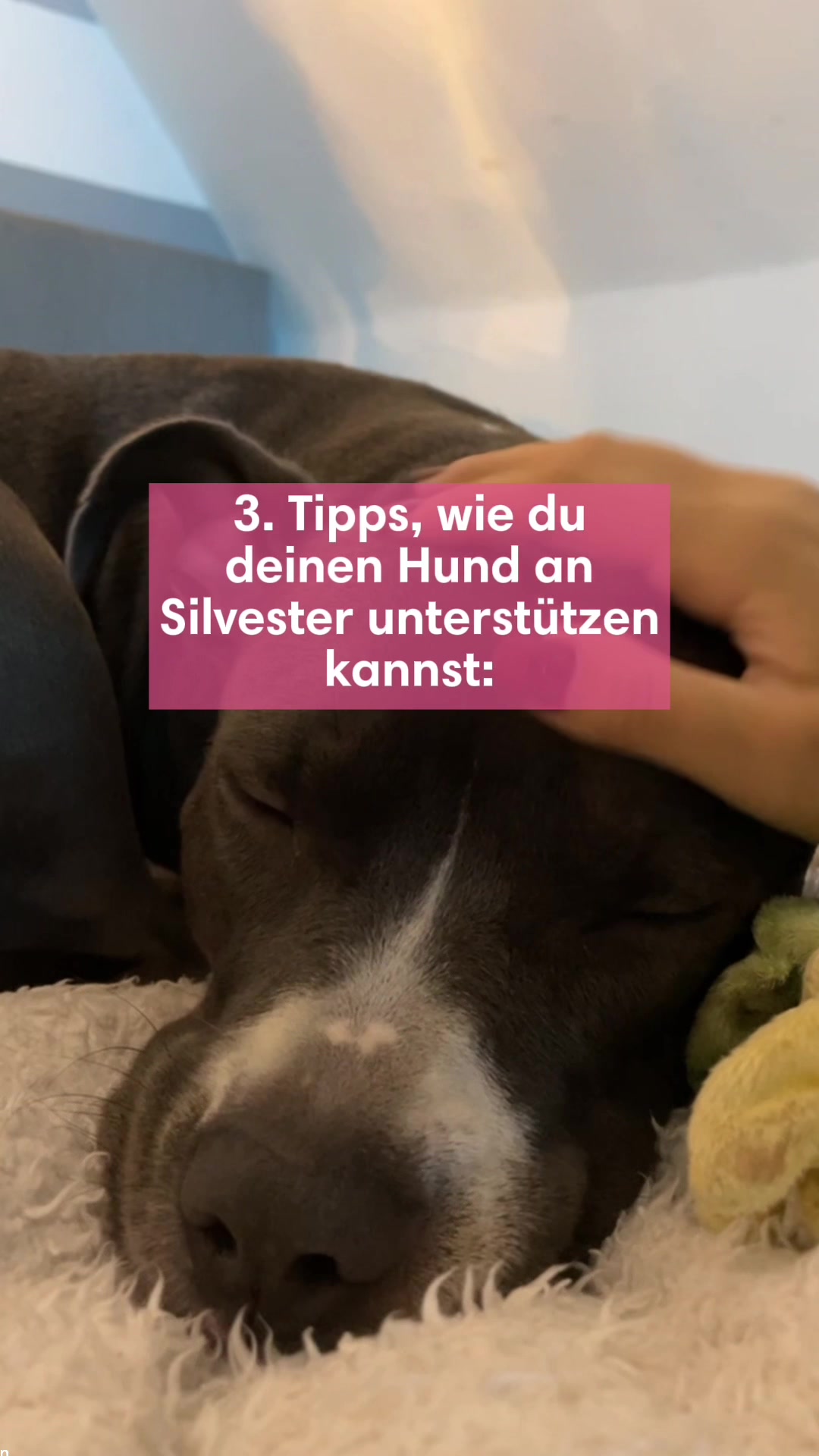 @diefutterbar