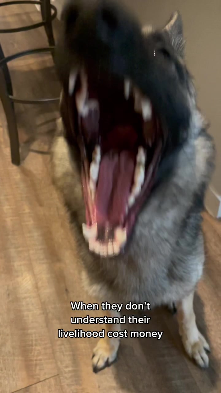 @Steve