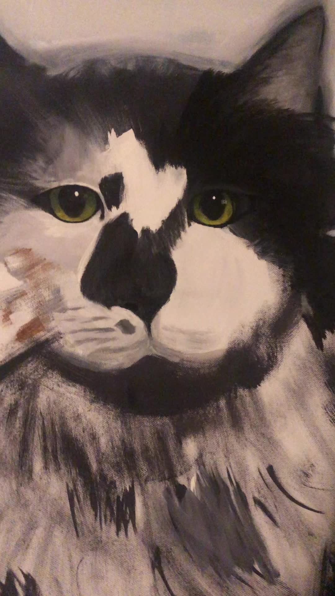 @Macaroni the Cat