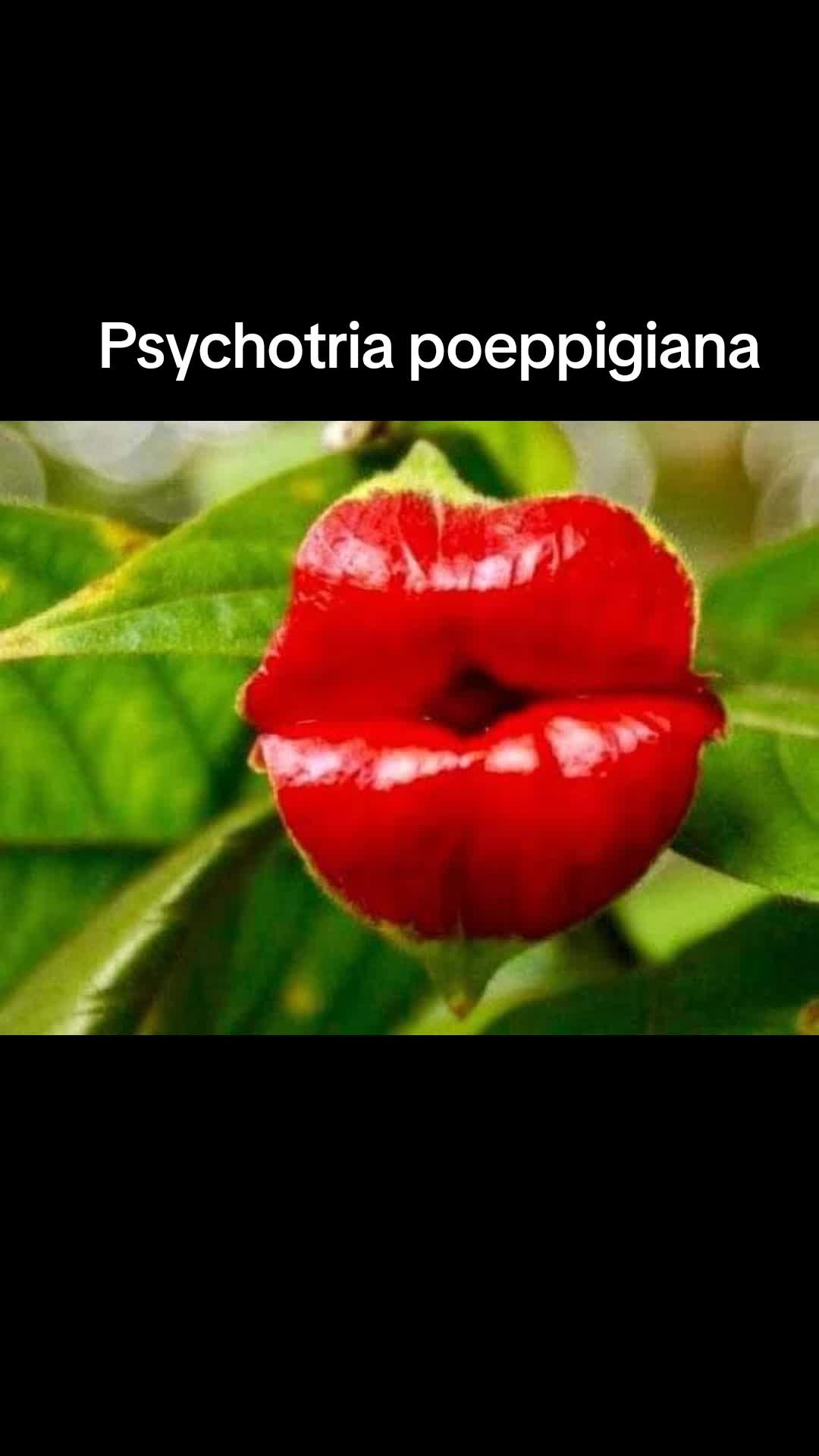 @Emma