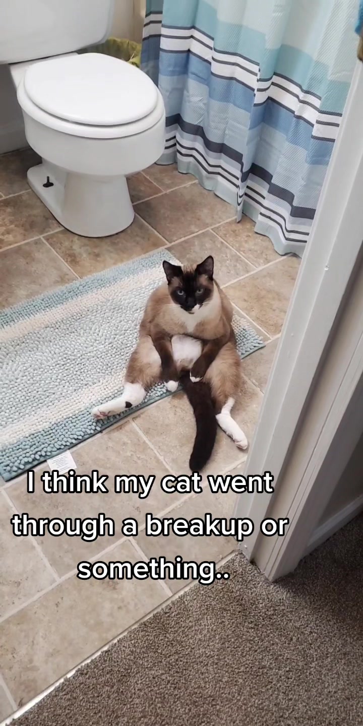 @Vader, Rocko, & Kona