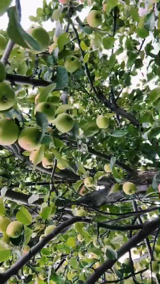 @Ксения Аксенова