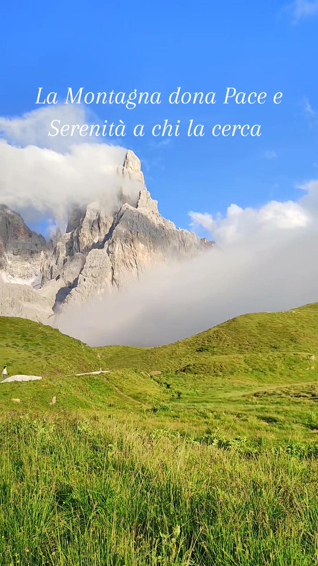 @Montagna Estate
