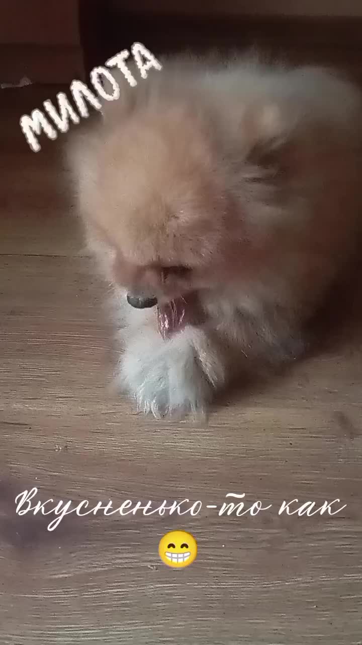 @Софочка