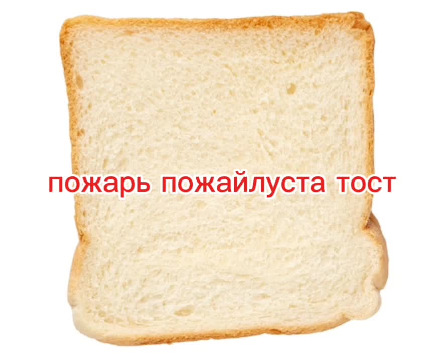 @topizzadodo