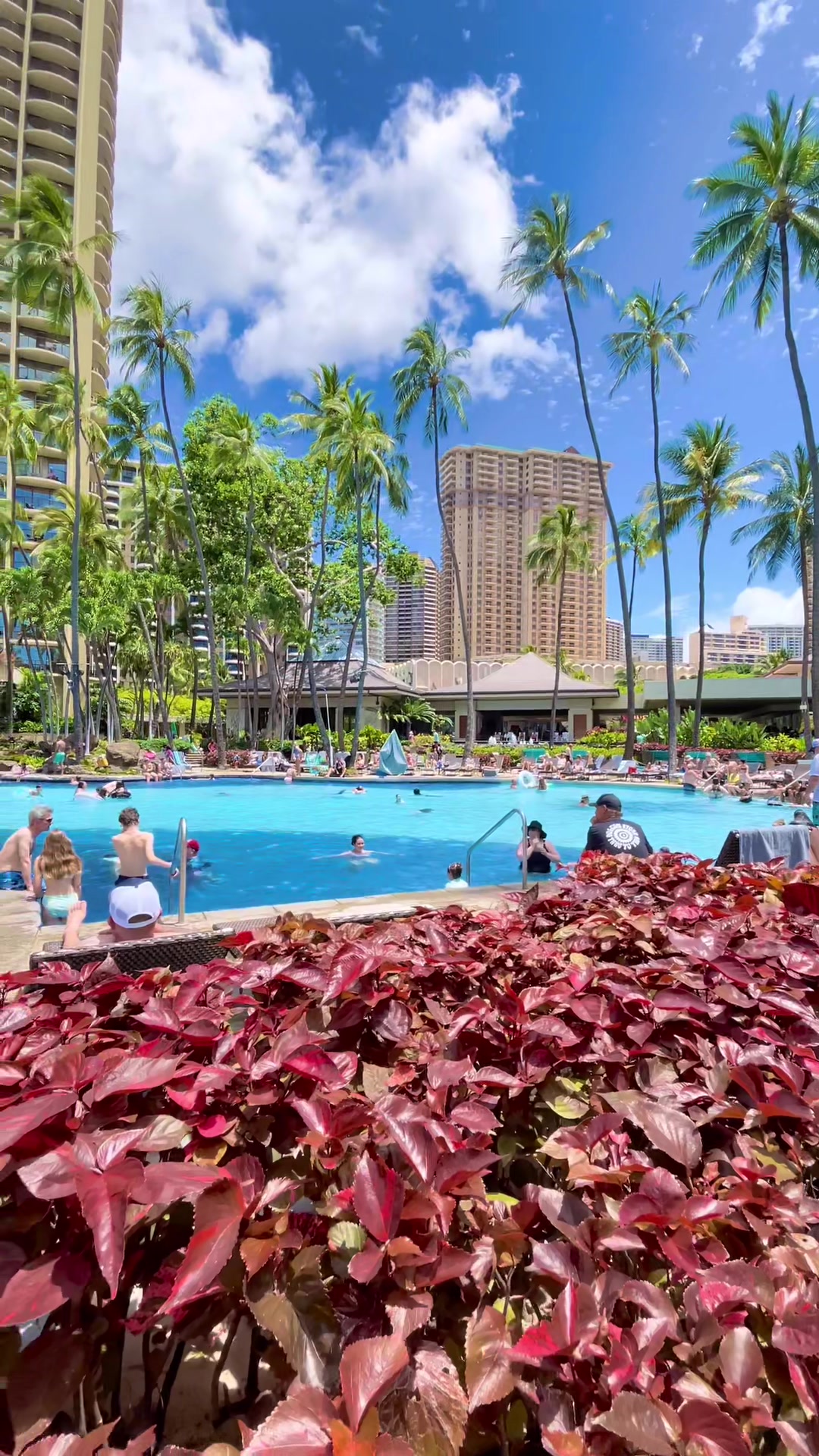 @POCKET HAWAII | ポケットハワイ