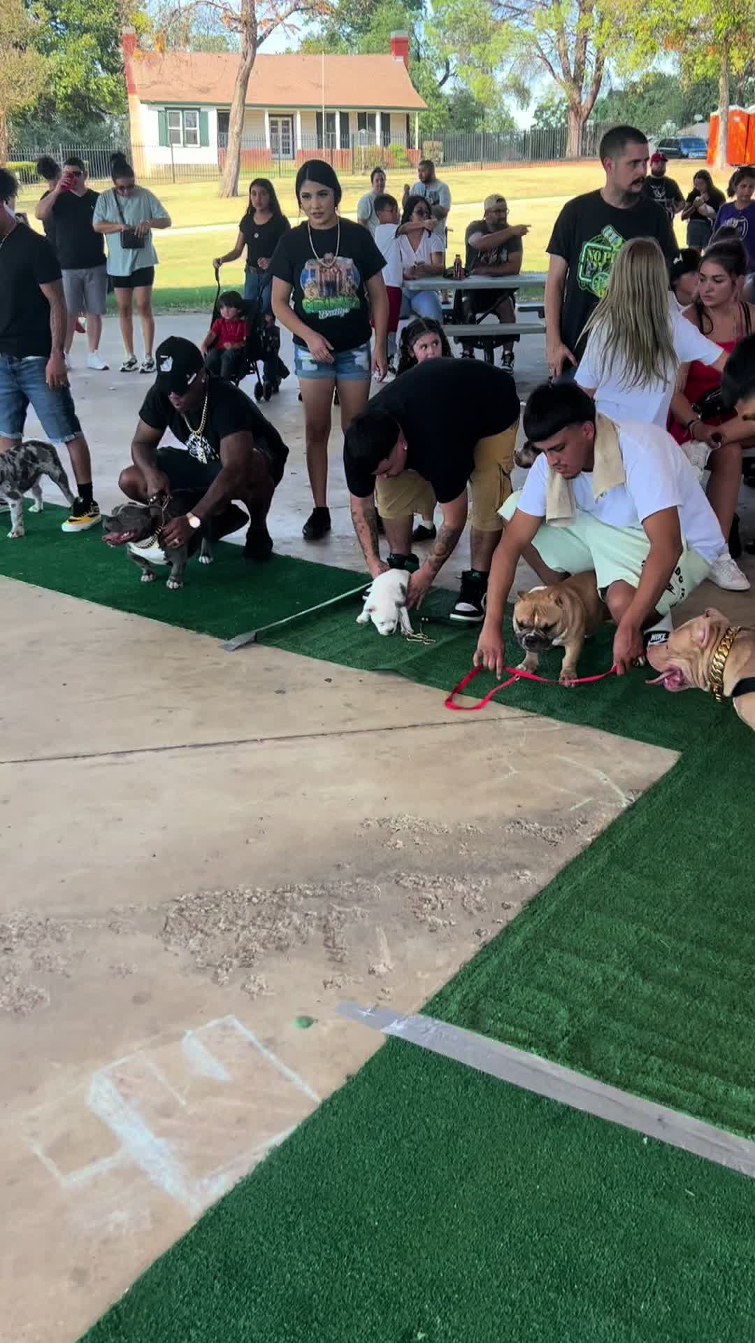 @Grimey Bullys 🐾🦴