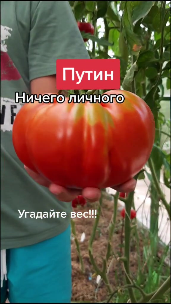 @Дача мечты