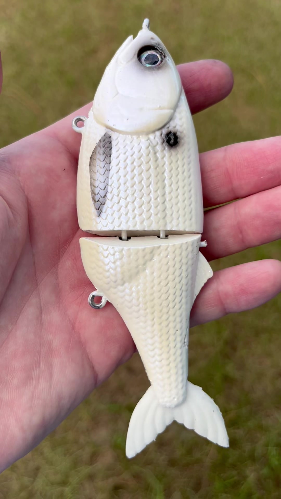 @grovesbaitco