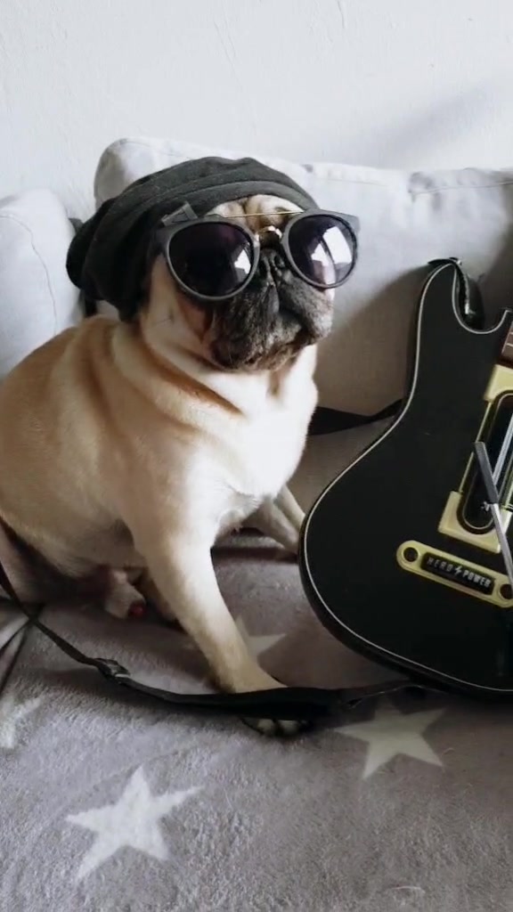 @lovelypug.kiba