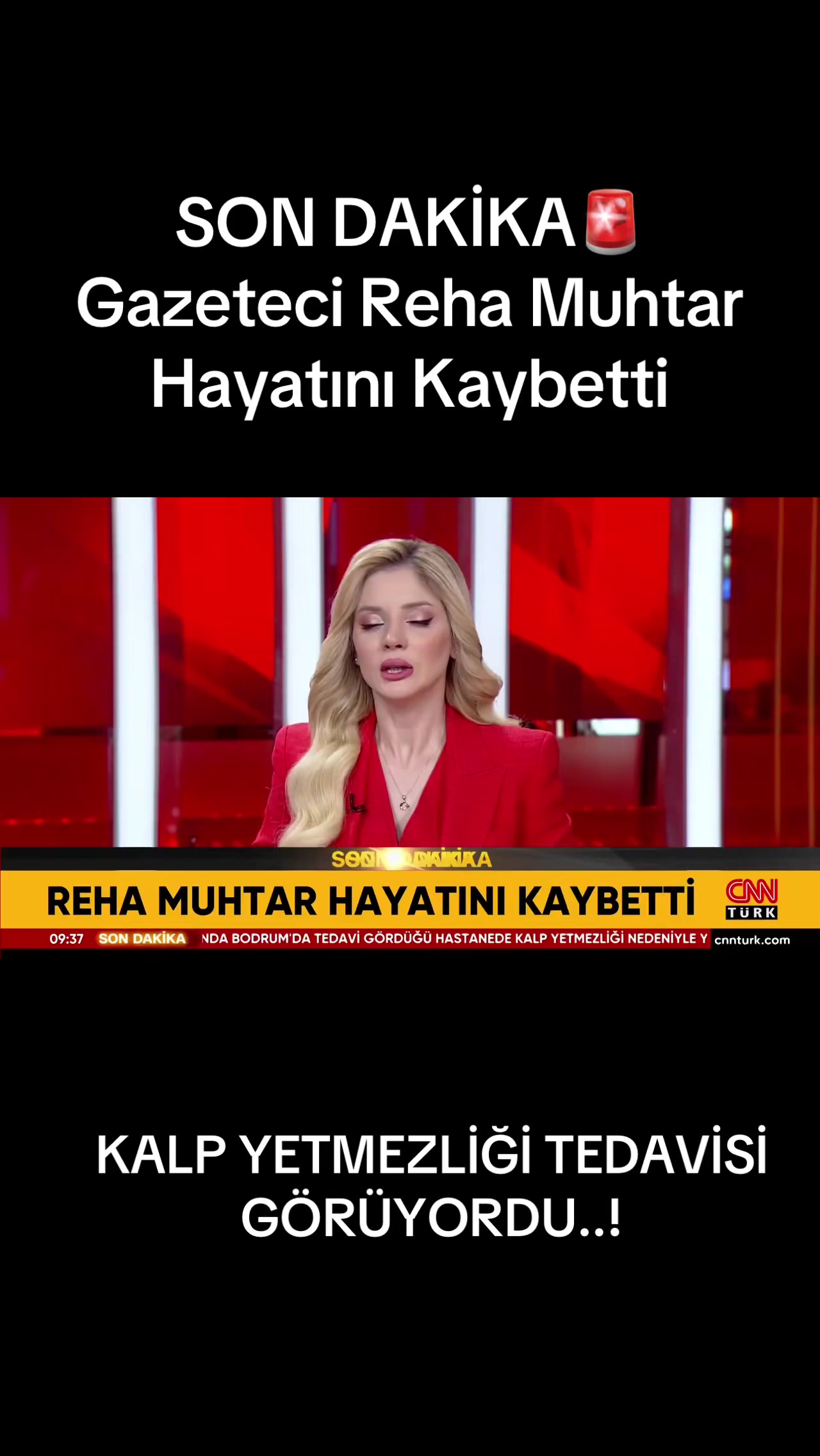 @haberinolaa