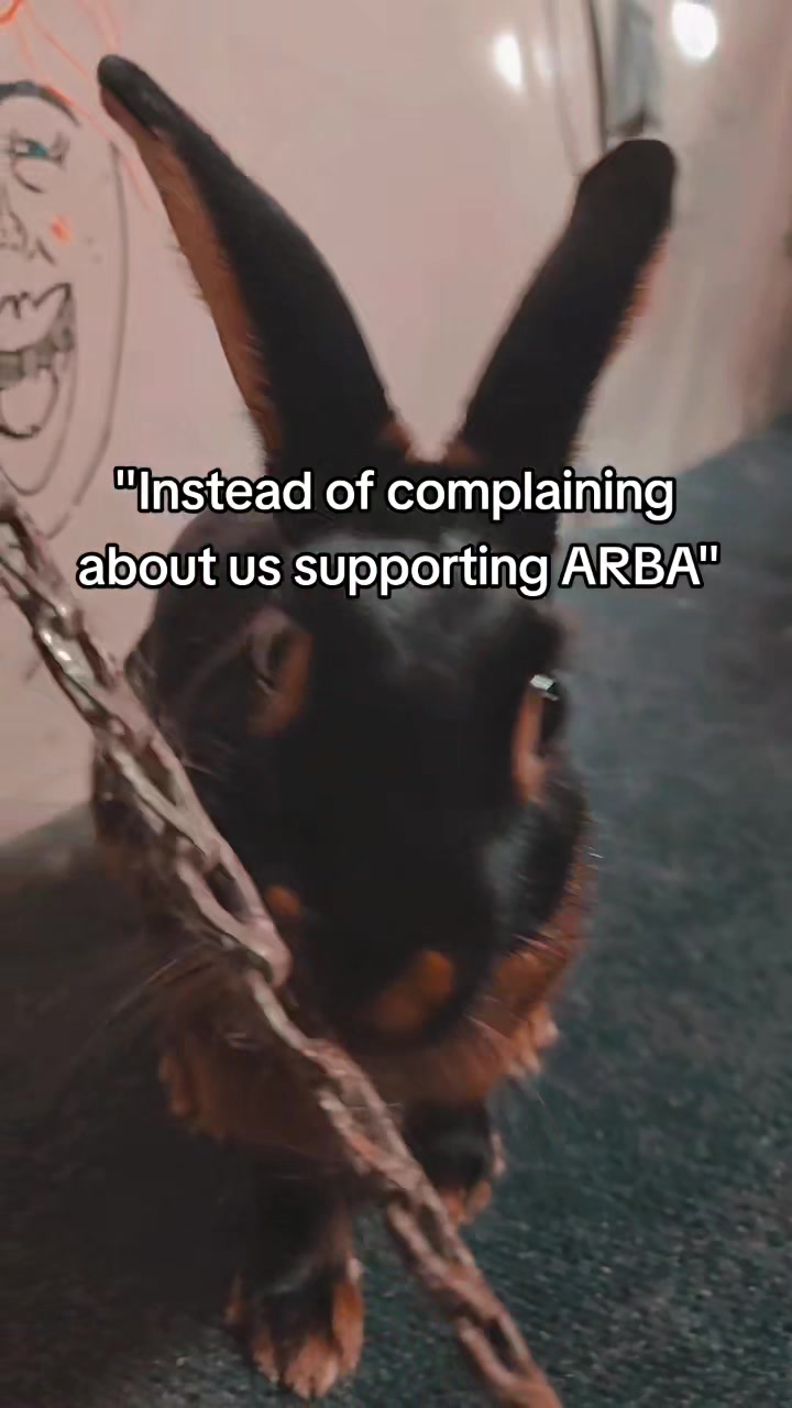 @ToT's Bunny Barn