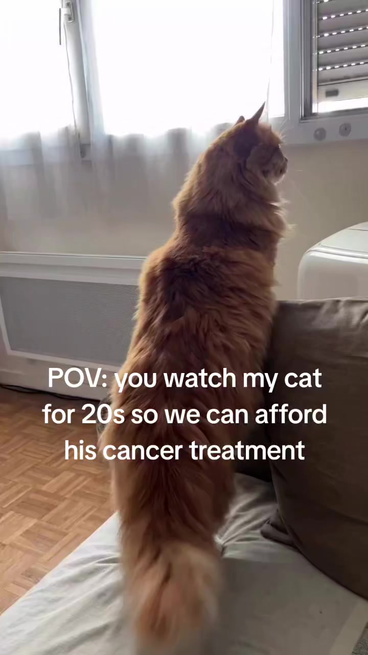 @lucycat28