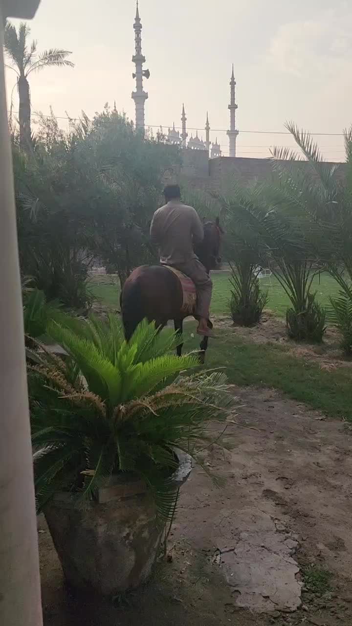 @احمد گل نمبر دار
