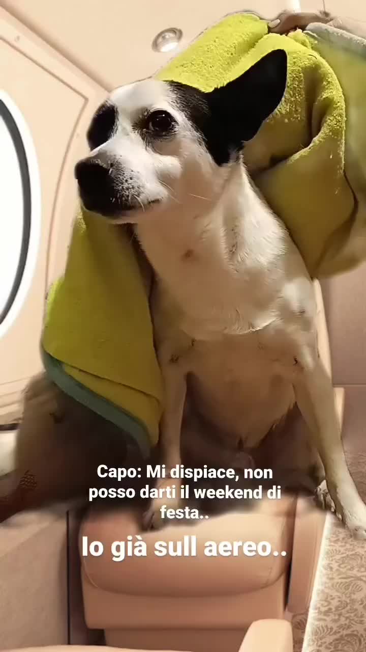@96irenebernini
