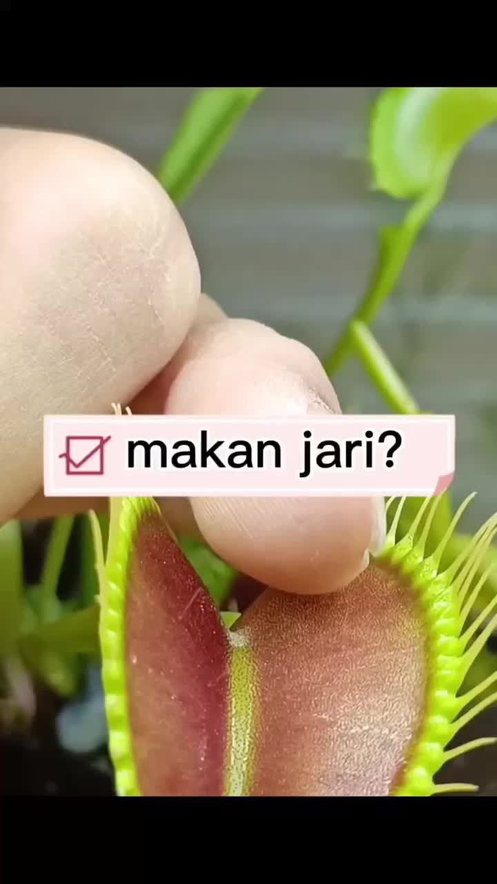 @qinta125
