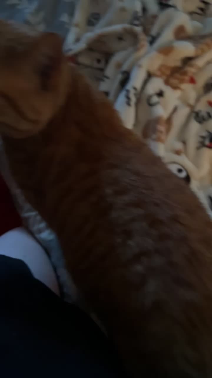@Z0mBie ๐ณ๏ธ๐๐ต๐ธ