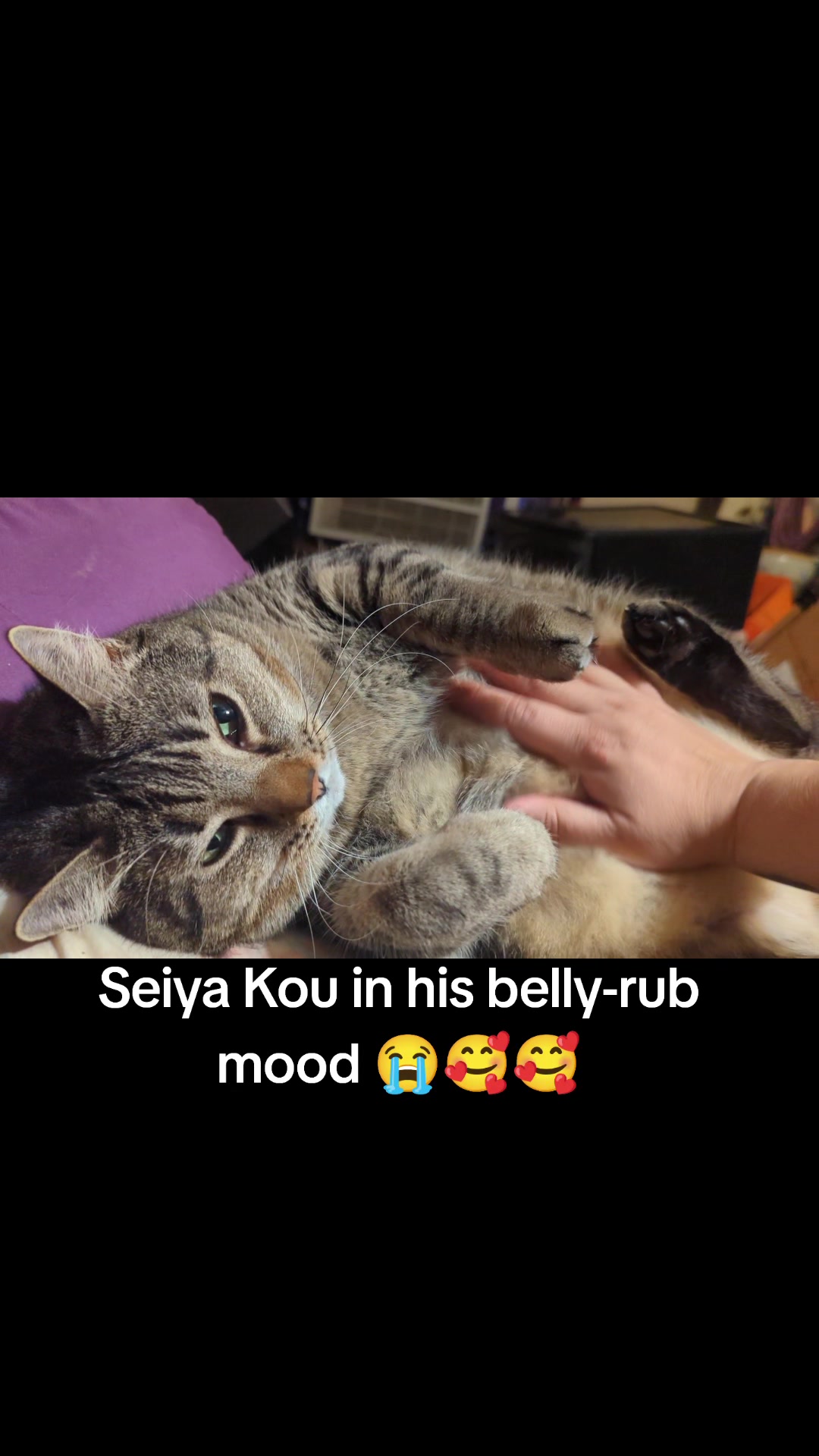 @snakechaarmer