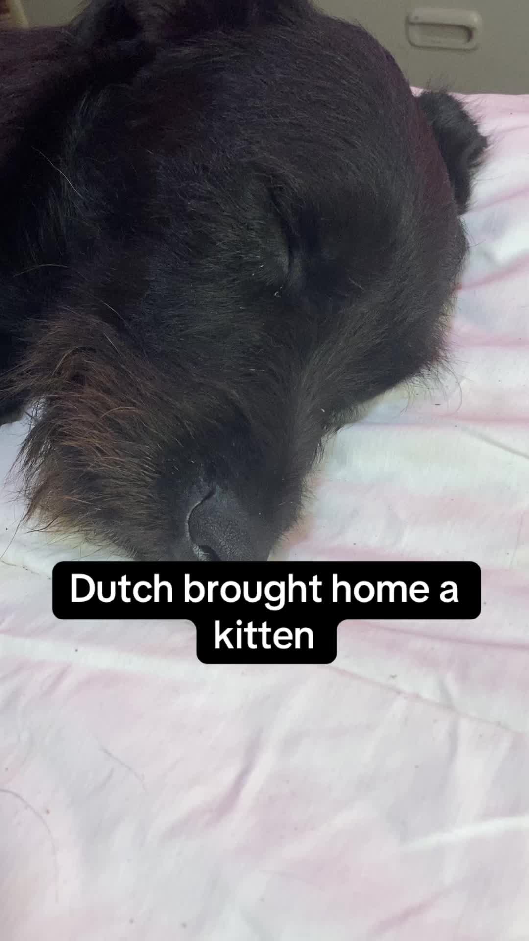 @The Flying Dutchgirl