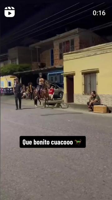 @gavilan007