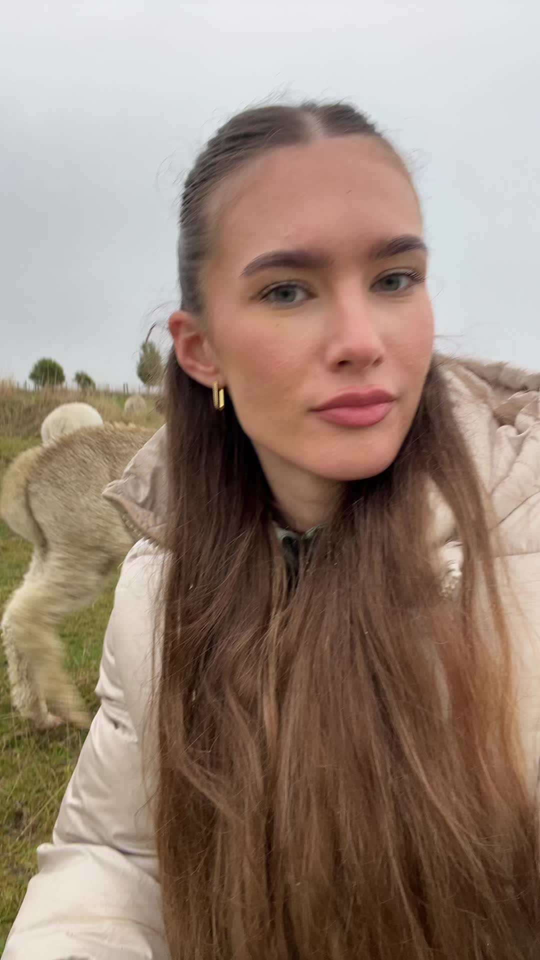 @INNOTAA