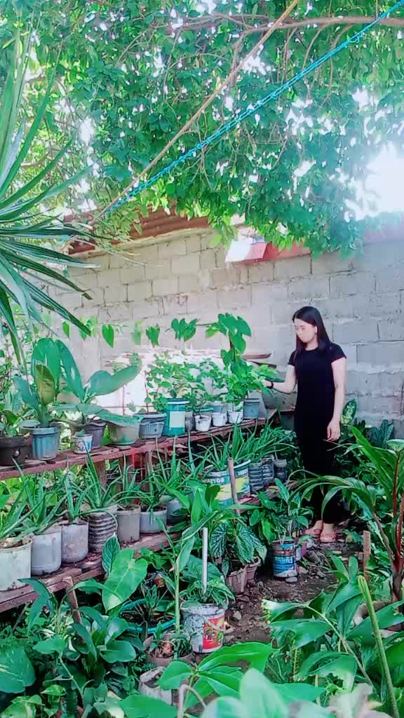 @♉🇰🇼TAURUSGIRL🇵🇭🇵🇰050526♉