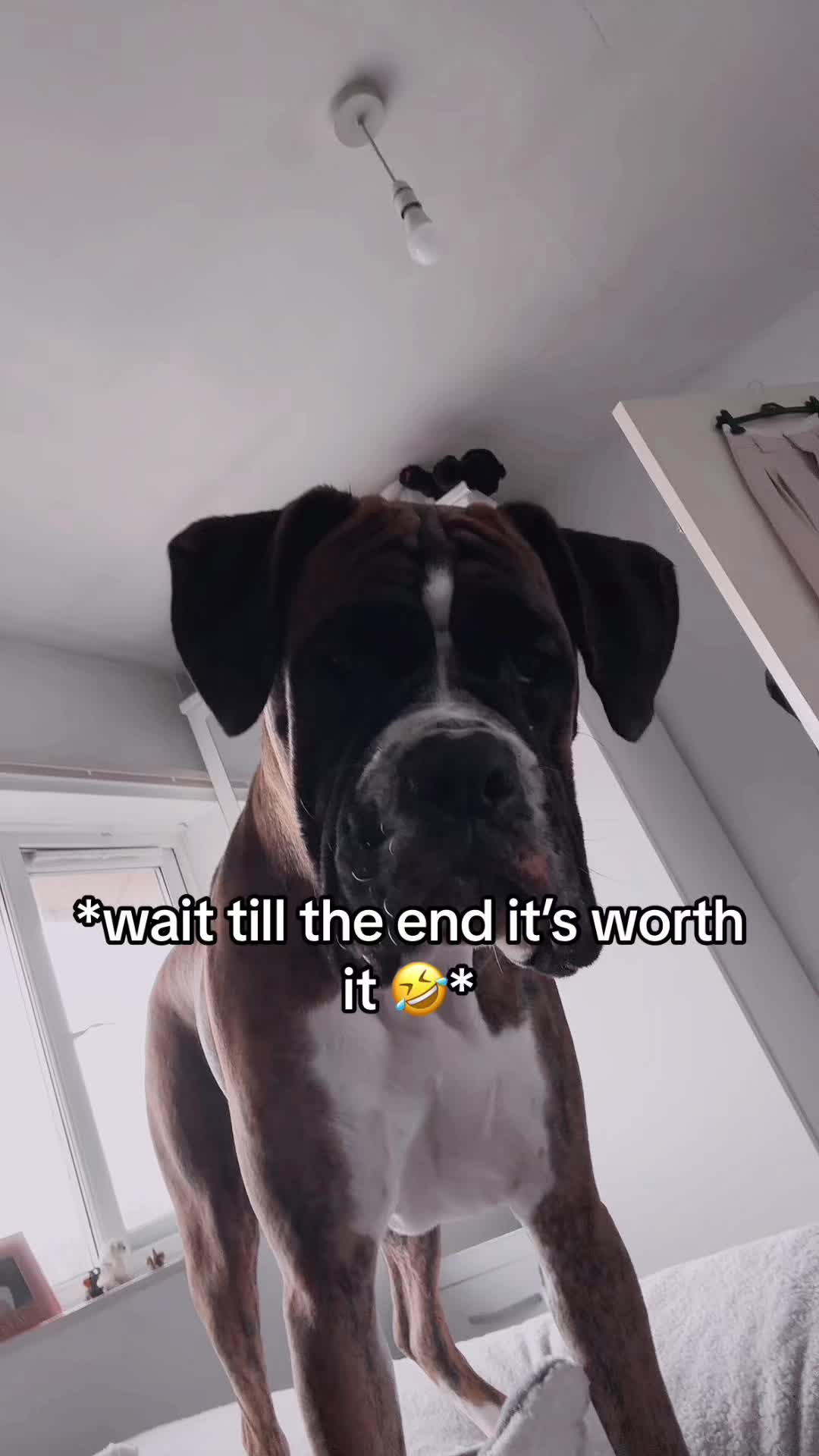 @kayleighlouise.03