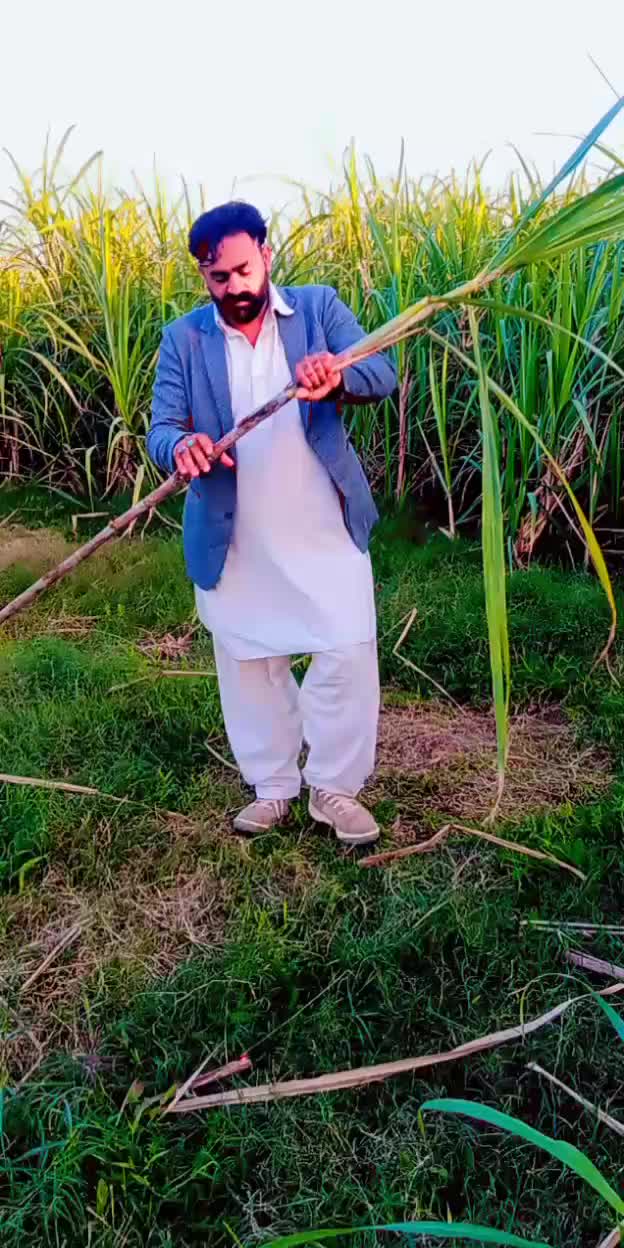 @Ijaz Jutt 302