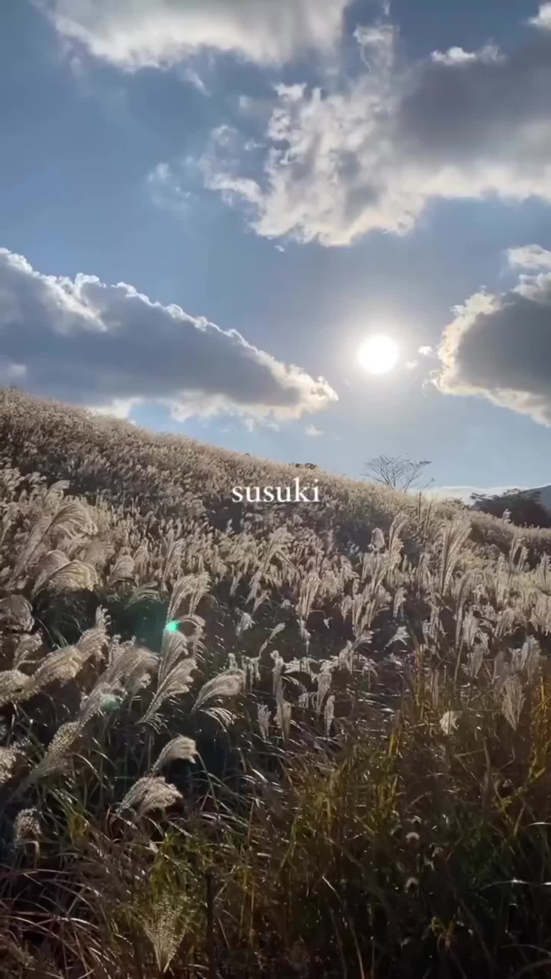 @(^∇^)